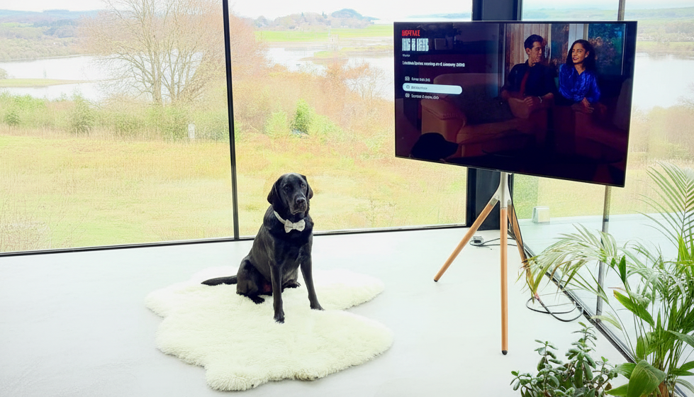 @alicewriterland via instagram